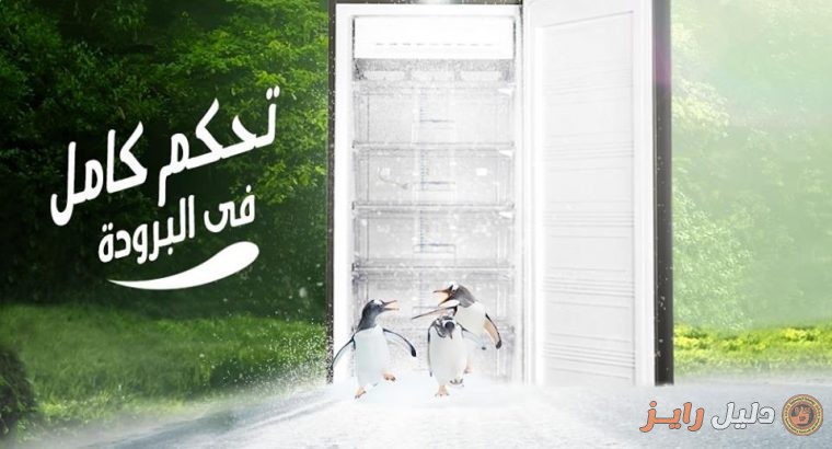 المندرة طريق جمال عبد الناصر