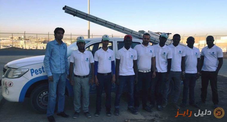 شركة أطلس مكافحة الحشرات والنمل الأبيض