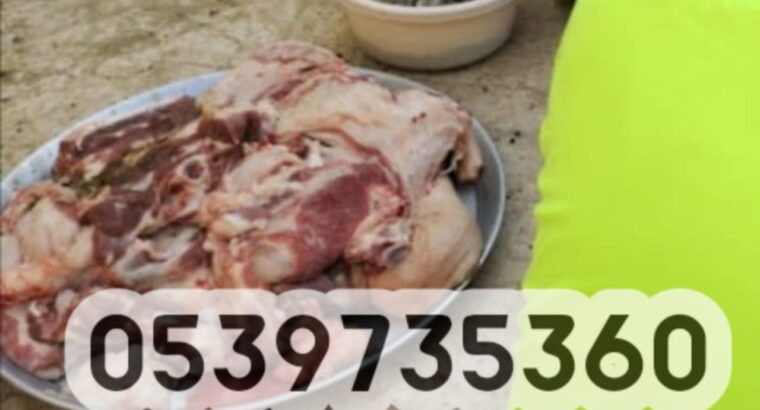 قصاب متخصص بالرياض 0539735360 ارقام جزارين