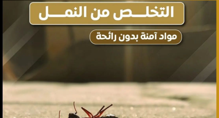 افضل شركات مكافحة الحشرات بالرياض