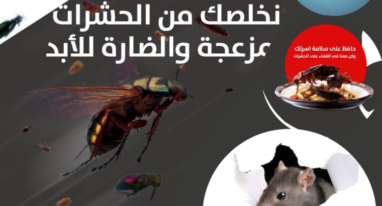 شركة مكافحة حشرات بالرياض