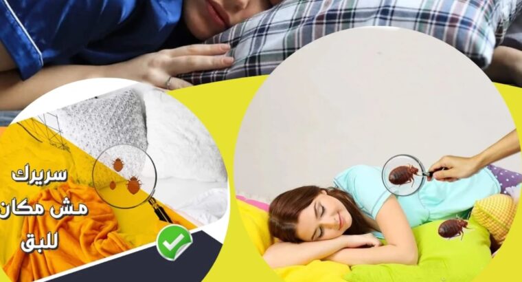 شركة مكافحة حشرات بالرياض