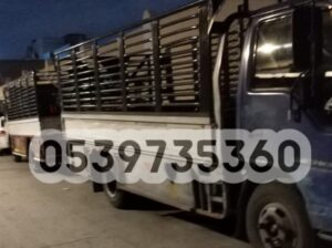 دينا نقل عفش من الرياض الي تبوك 0539735360 توصيل ا