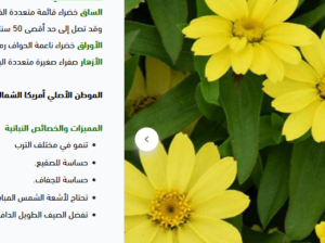متجر بذر: متجر شامل ومتميز لبيع البذور ومستلزمات ا