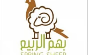 متجر بهم الربيع