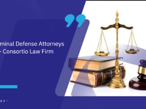 Foreign Investment Law Support