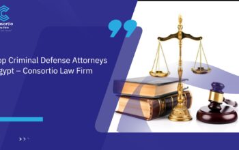 Foreign Investment Law Support