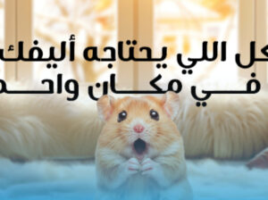 لالازو