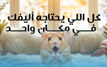 لالازو