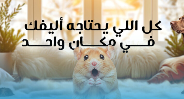 لالازو