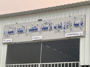 حطب وادي هبوب أفضل حطب أفريقي في السعودية