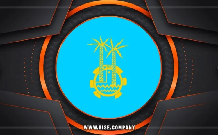  شركة ايميلات فى أسوان