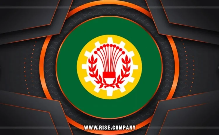  شركة ايميلات فى الدقهلية