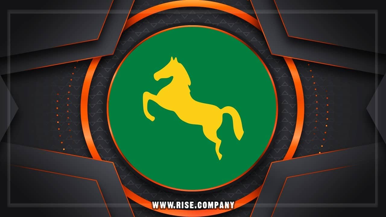  شركة ايميلات فى الشرقية