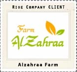 //www.rise.company/profile/wp-content/uploads/2020/01/a12.jpg