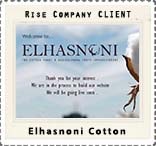 //www.rise.company/profile/wp-content/uploads/2020/03/c10.jpg